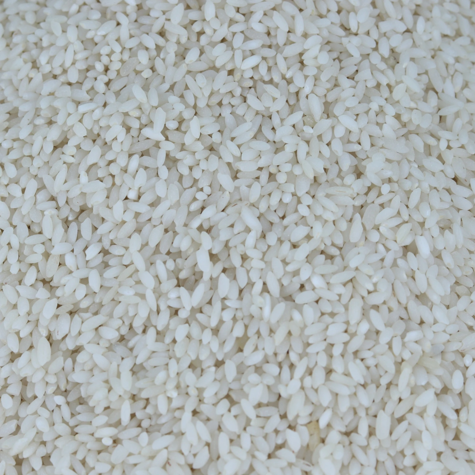 কালিজিরা (পাগলা পোলাও) / Kalijira Rice