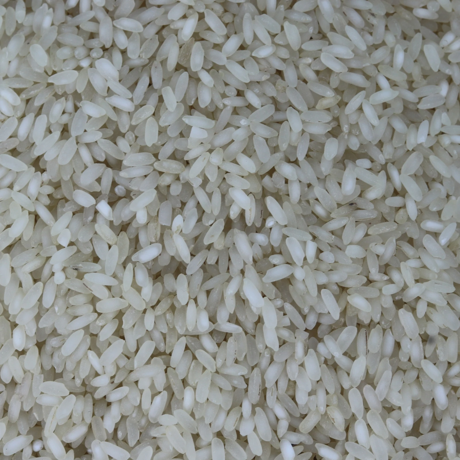 রঞ্জিত চাল / Ronjit Rice