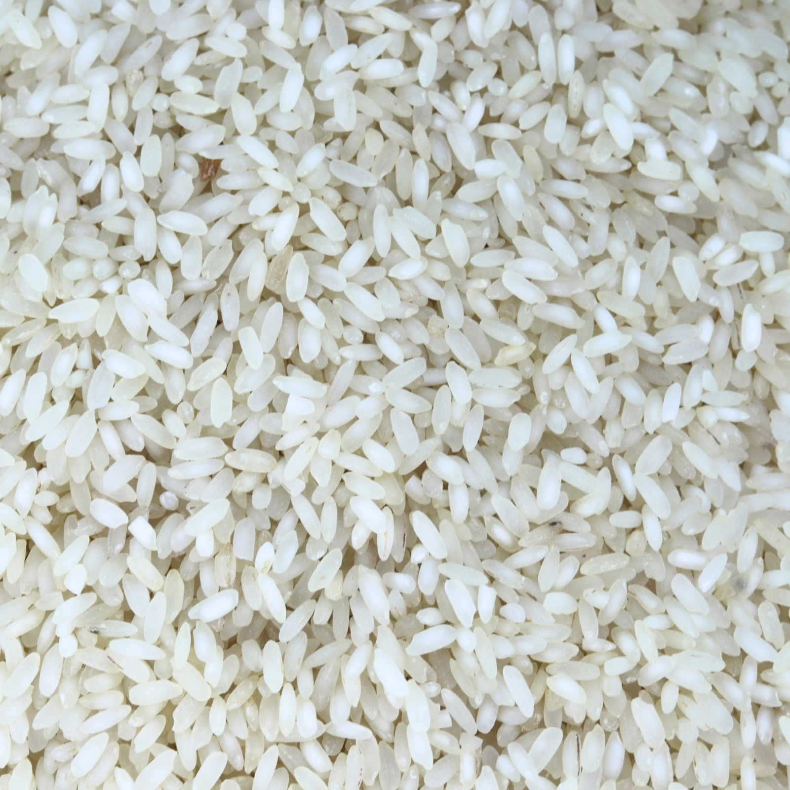 সর্না ৫ / Sorna 5 Rice